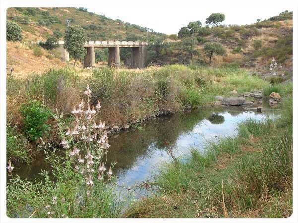 El Puente Sur